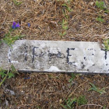 LIPPERT
