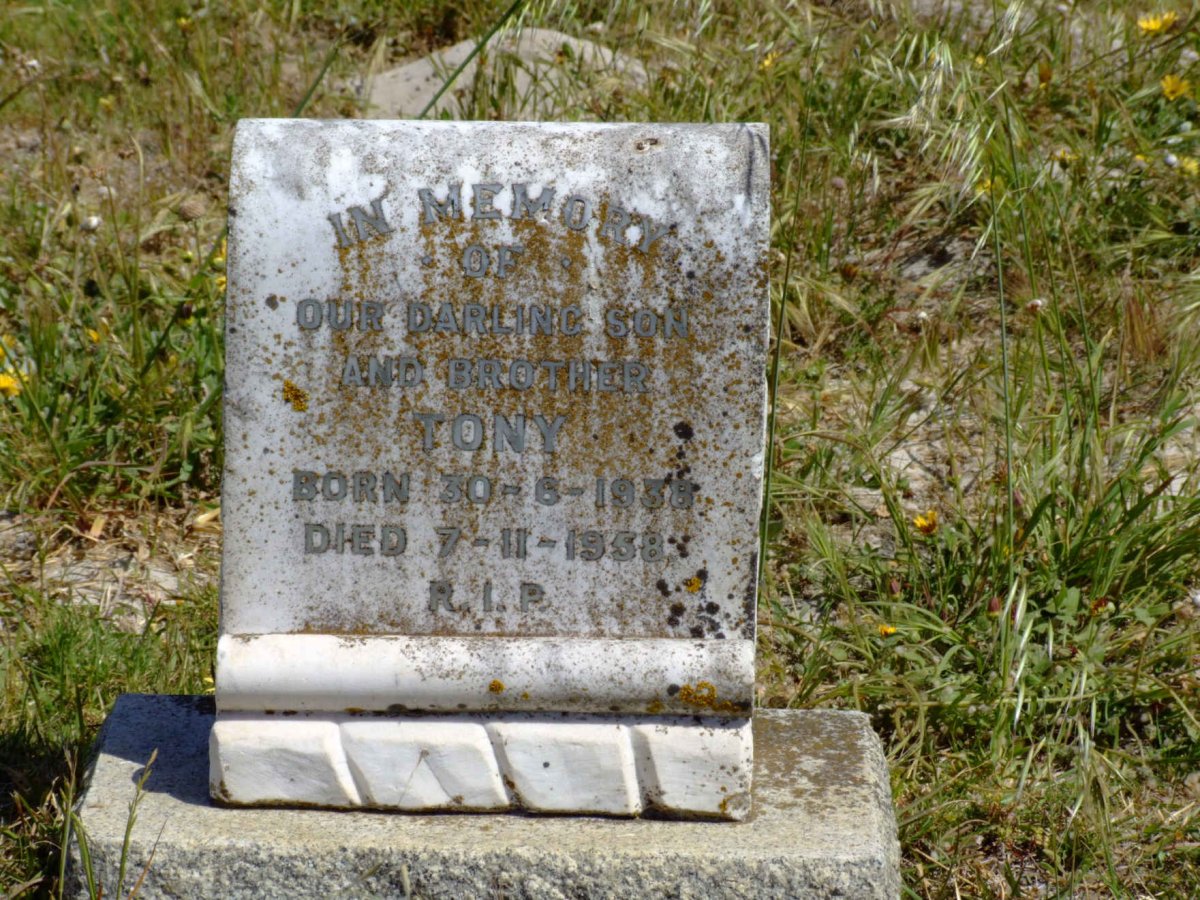 MCPHAIL Tony 1938-1958 _2