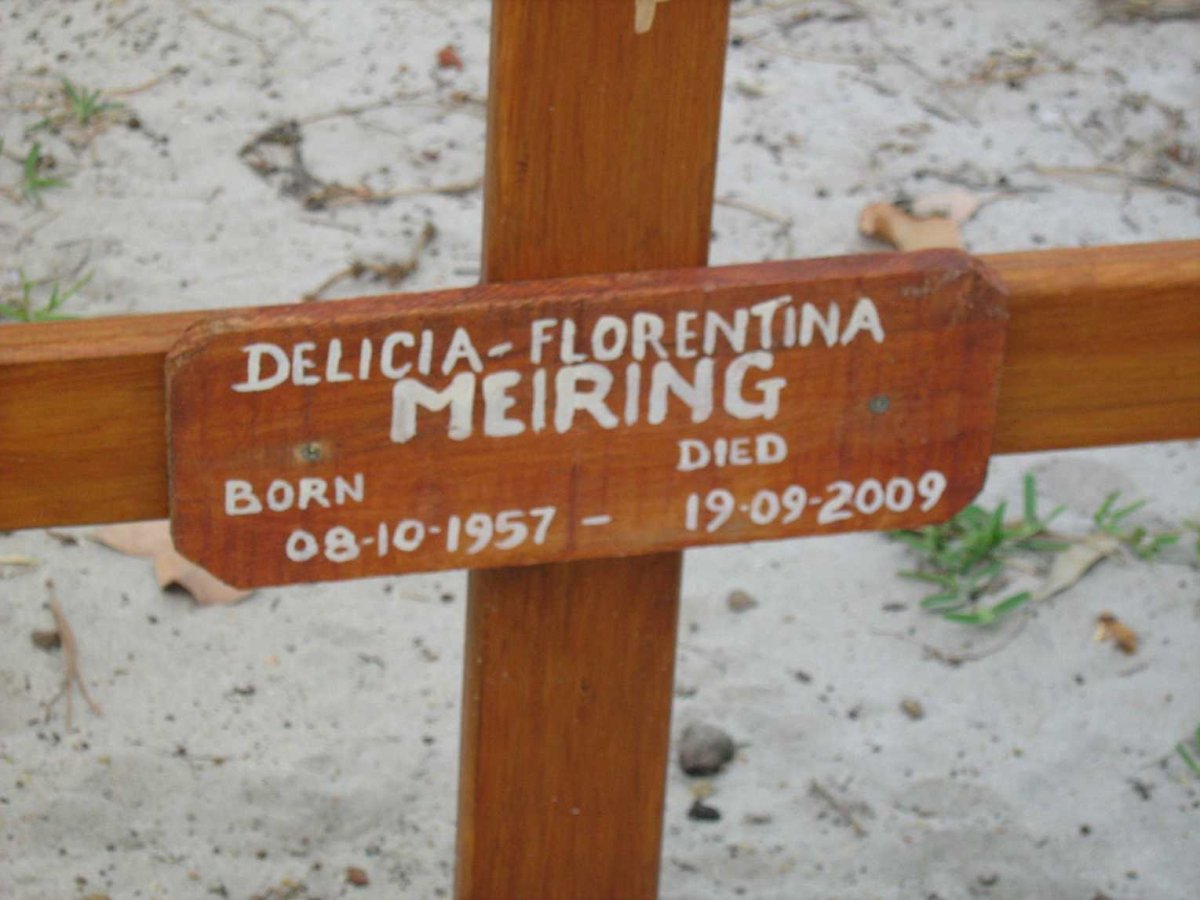 MEIRING Delicia-Florentina 1957-2009