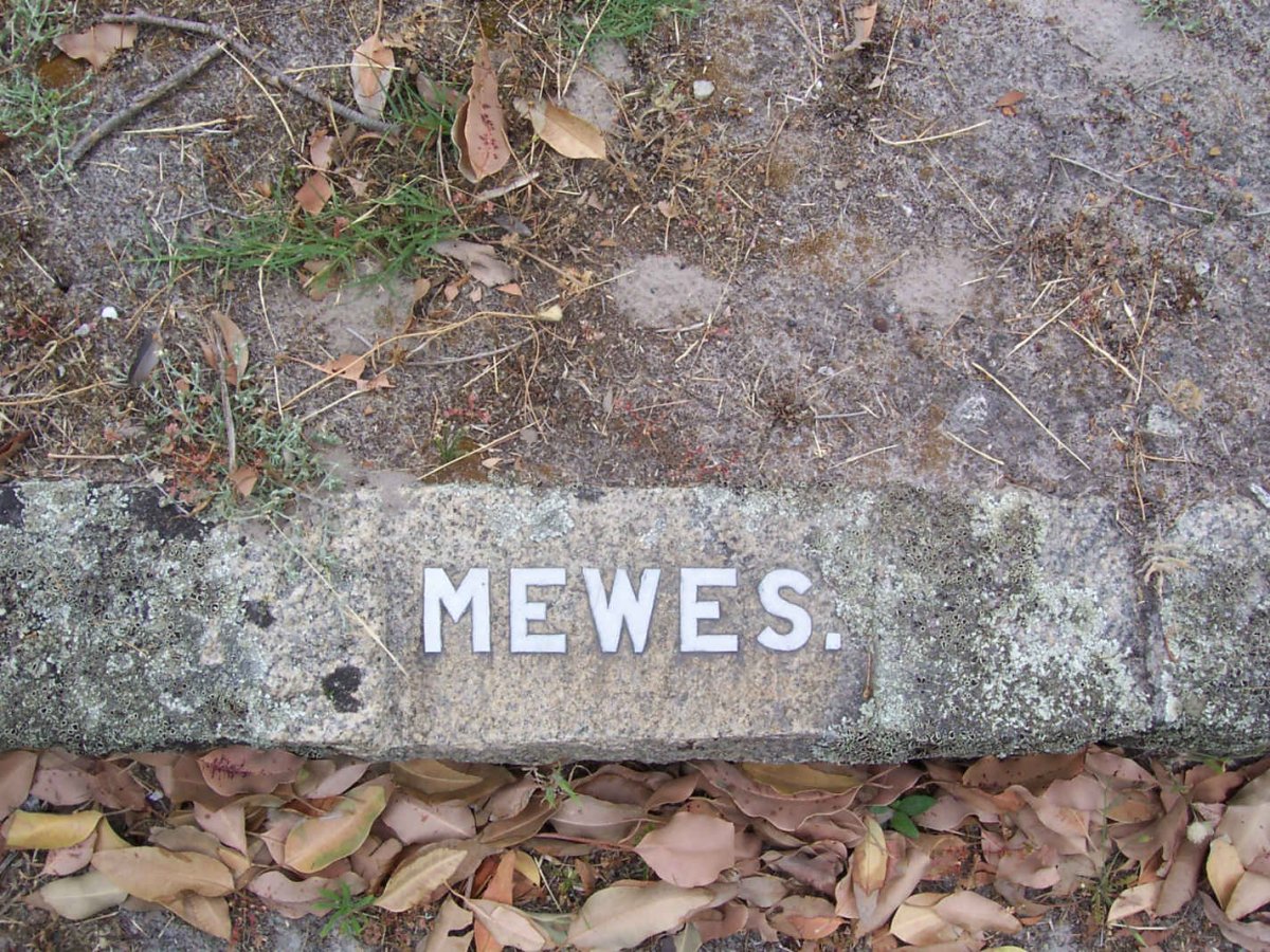 MEWES