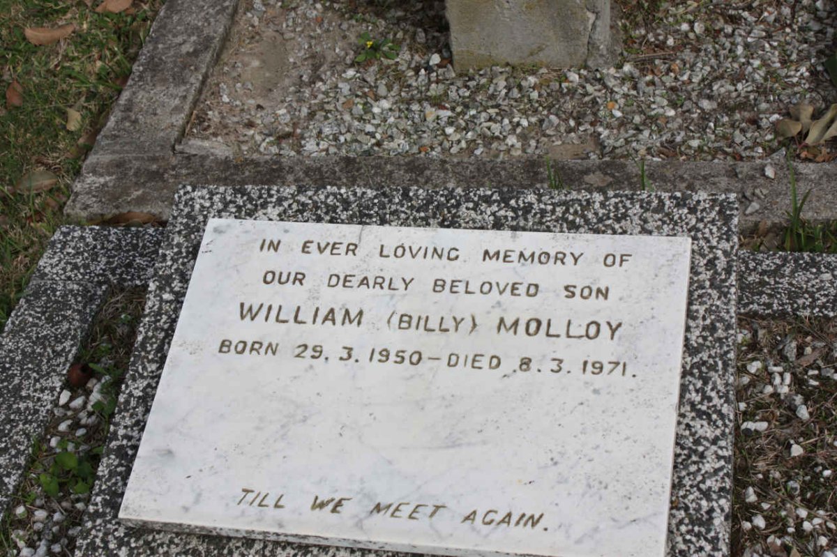 MOLLOY William 1950-1971 _2