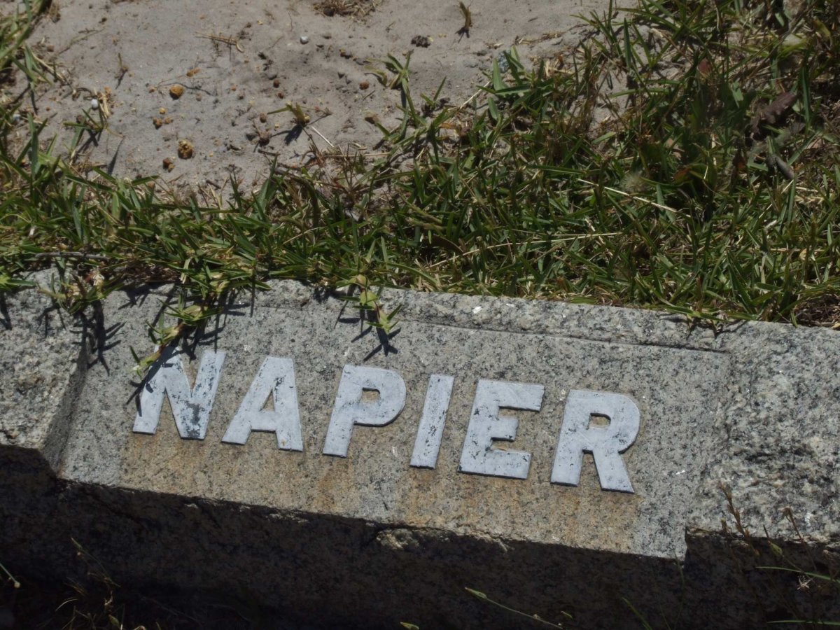 NAPIER ?