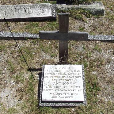 NICHOLLS Anthony 1938-1977 :: NICHOLLS Stephen 1966-1966