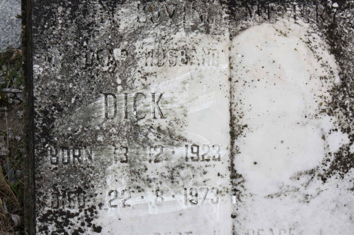 NICHOLSON Dick 1923-1973