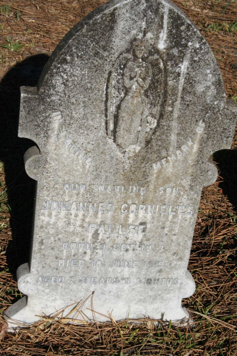 PAULSE Johannes Cornieles 1913-1919