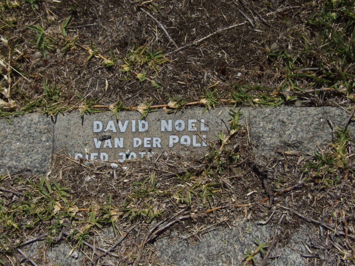 POLL David Noel, van der