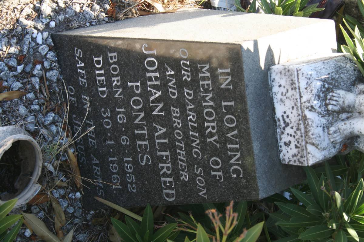 PONTES Johan Alfred 1952-1961