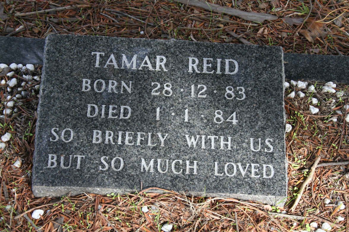 REID Tamar 1983-1984