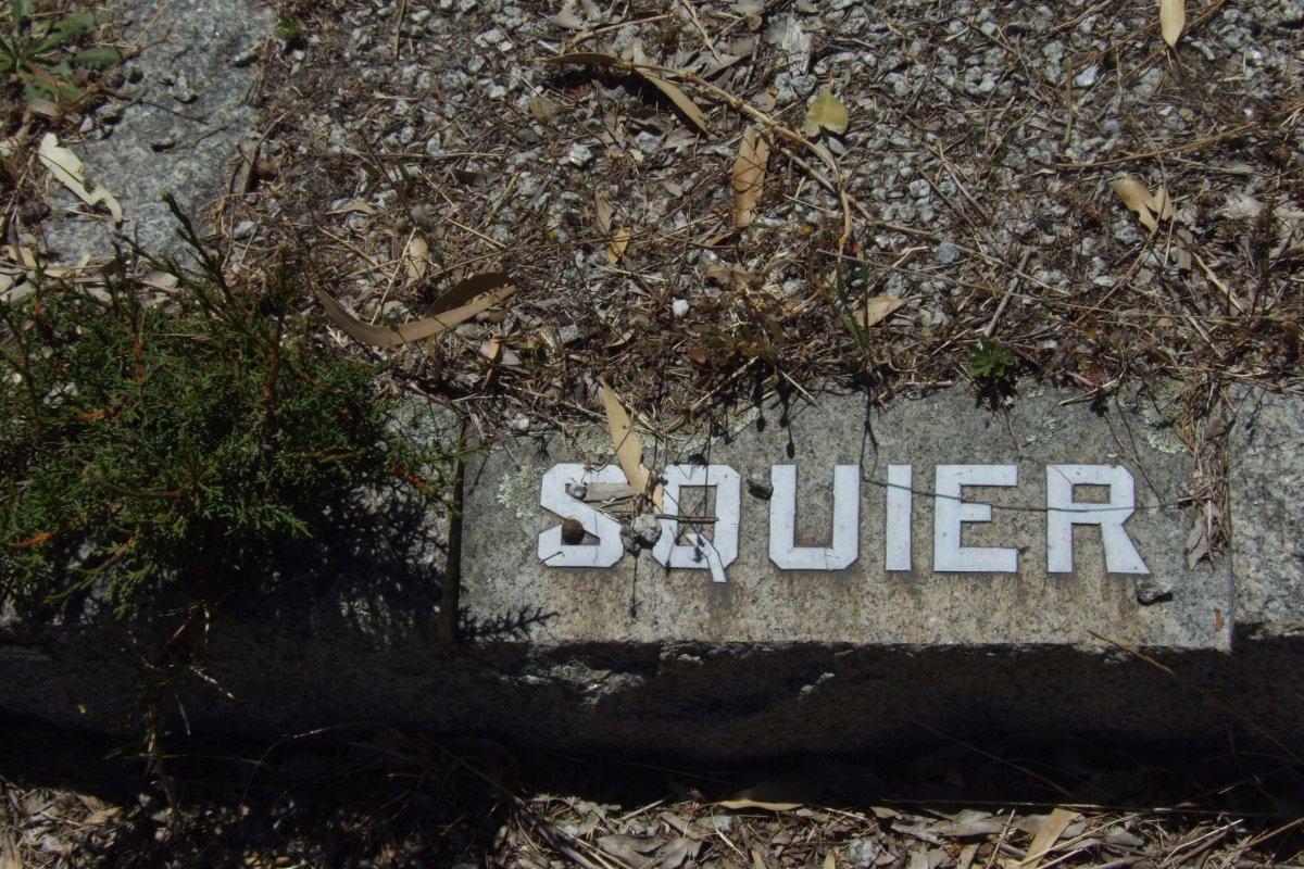 SQUIER ?