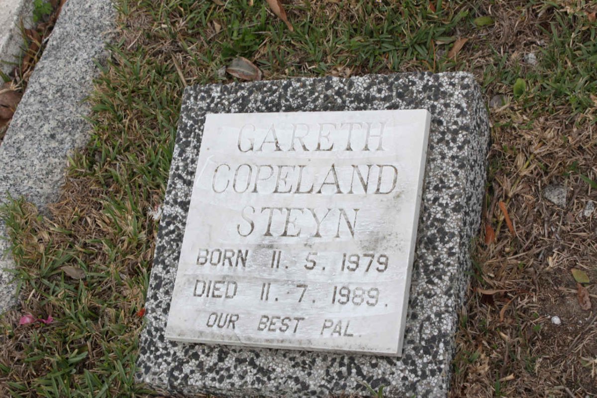 STEYN Gareth Copeland 1979-1989