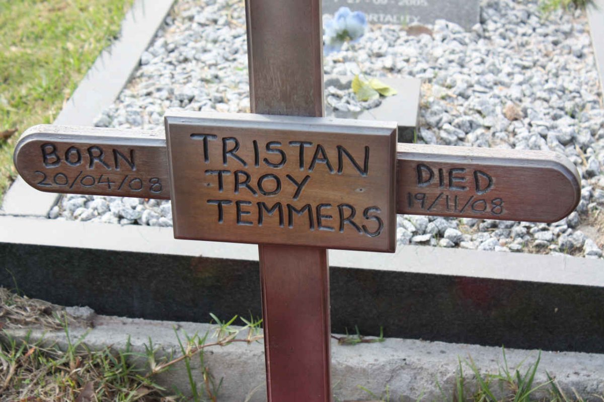TEMMERS Tristan Troy 2008-2008
