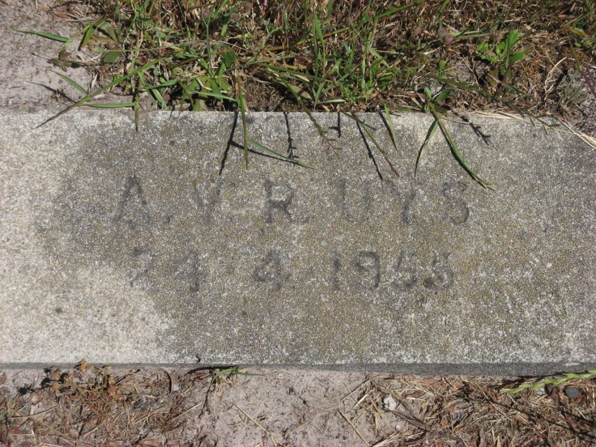 UYS A.V.R. -1955
