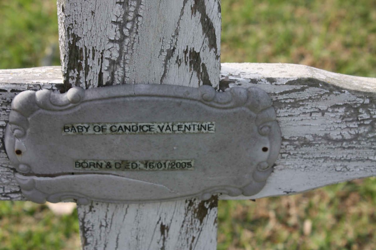 VALENTINE Baby 2005-2005