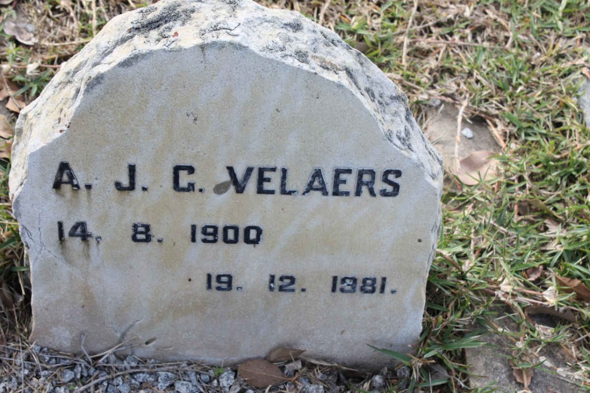 VELAERS A.J.G. 1900-1981