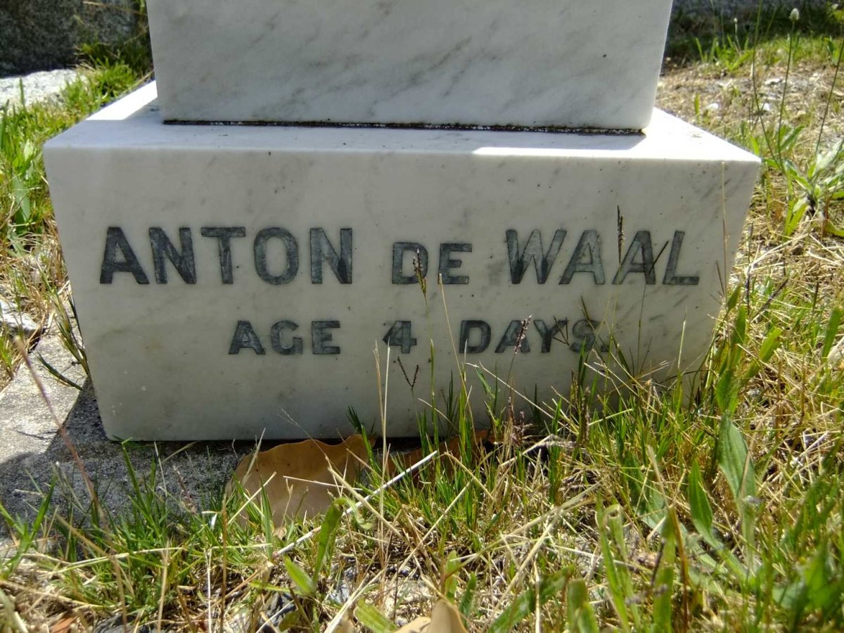WAAL Anton, de
