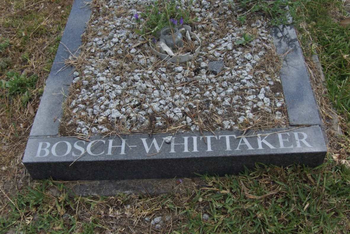 WHITTAKER, BOSCH