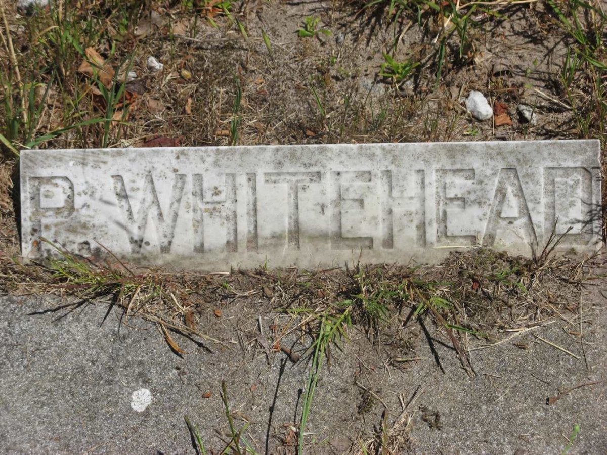 WHITEHEAD P.