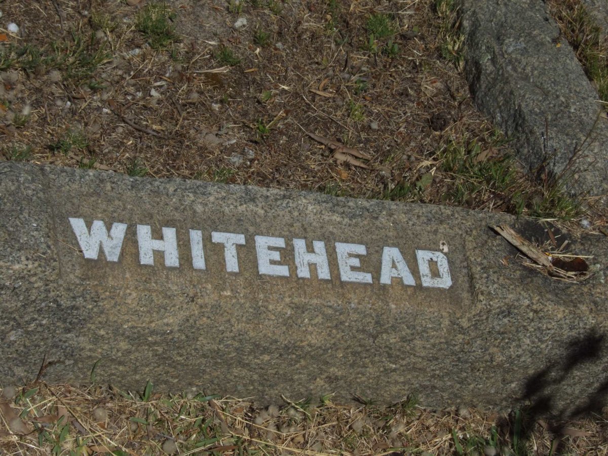 WHITEHEAD ?