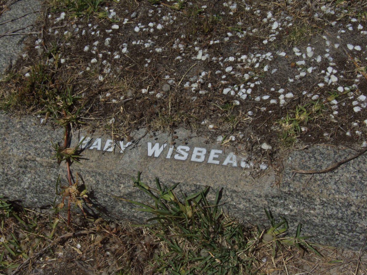 WISBEA?