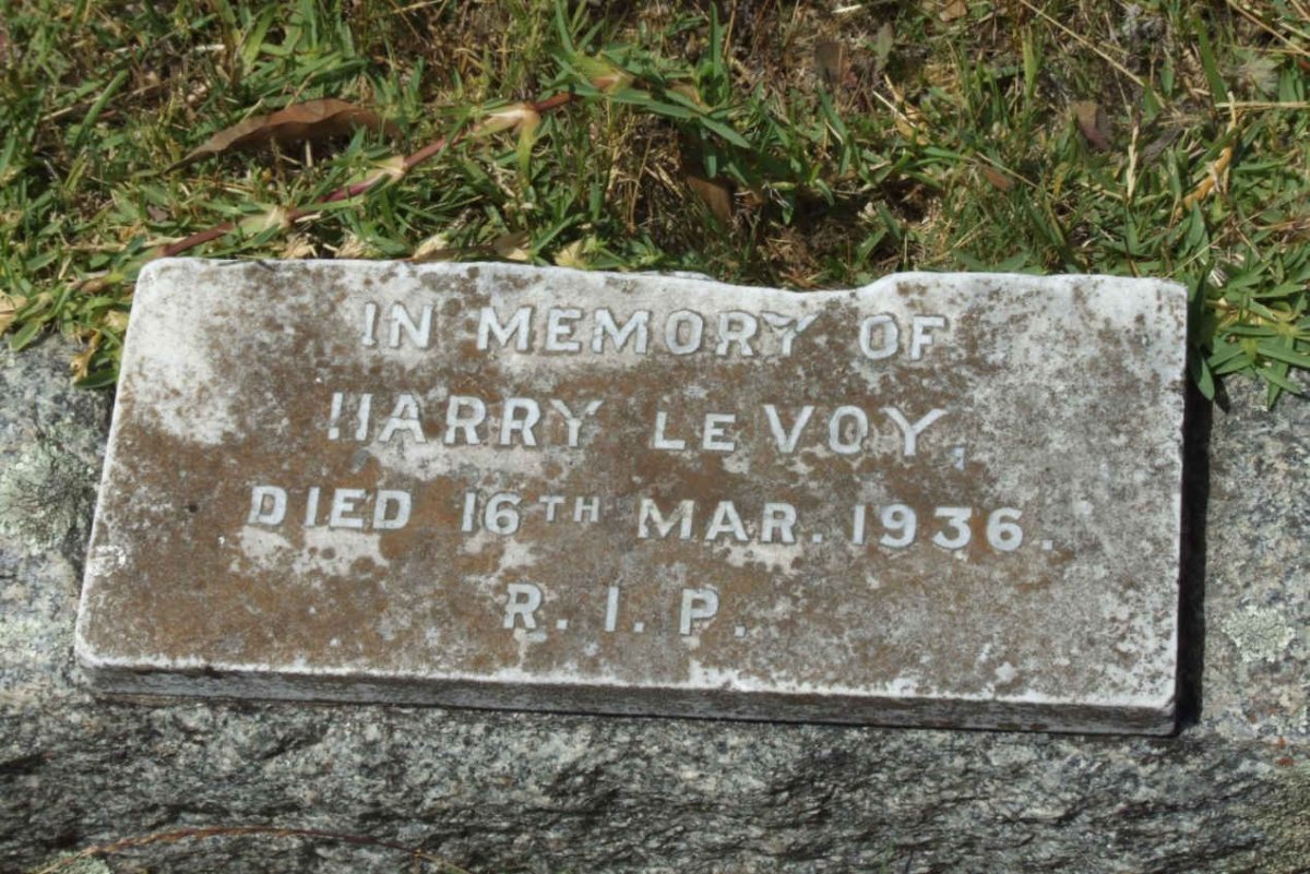 VOY Harry, le -1936
