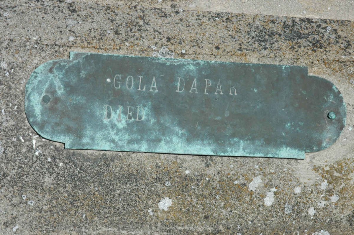 DAPAR Gola 