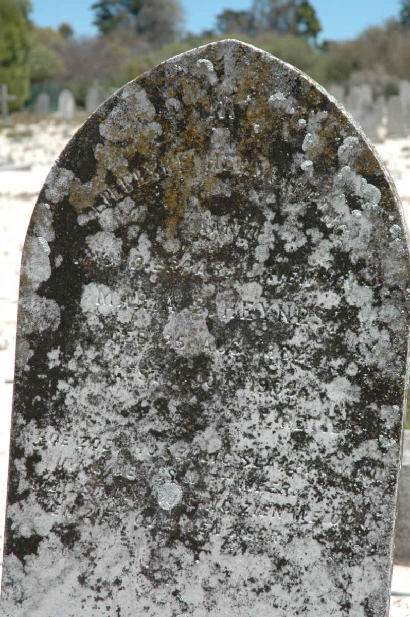 HEYNES M.  1882-1908