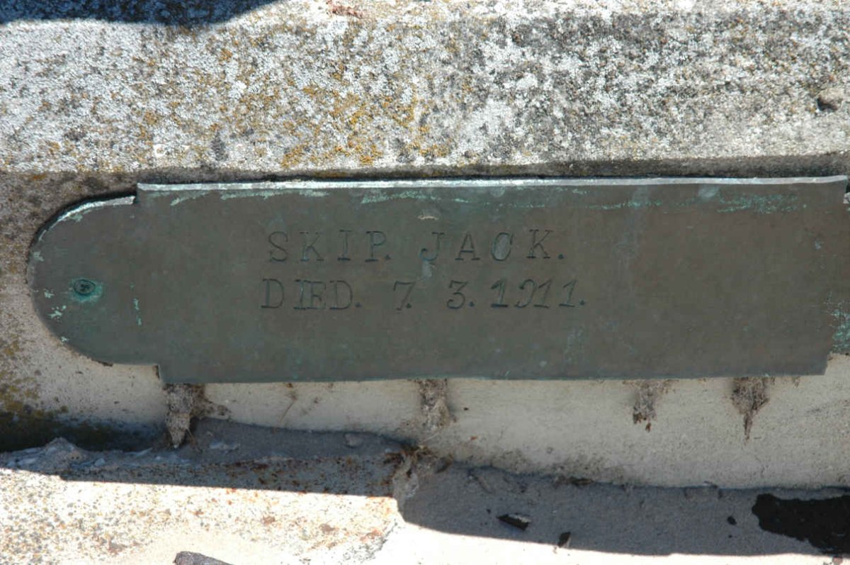JACK Skip -1911