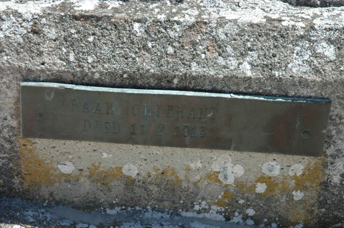 OLIPHANT Paar -1913