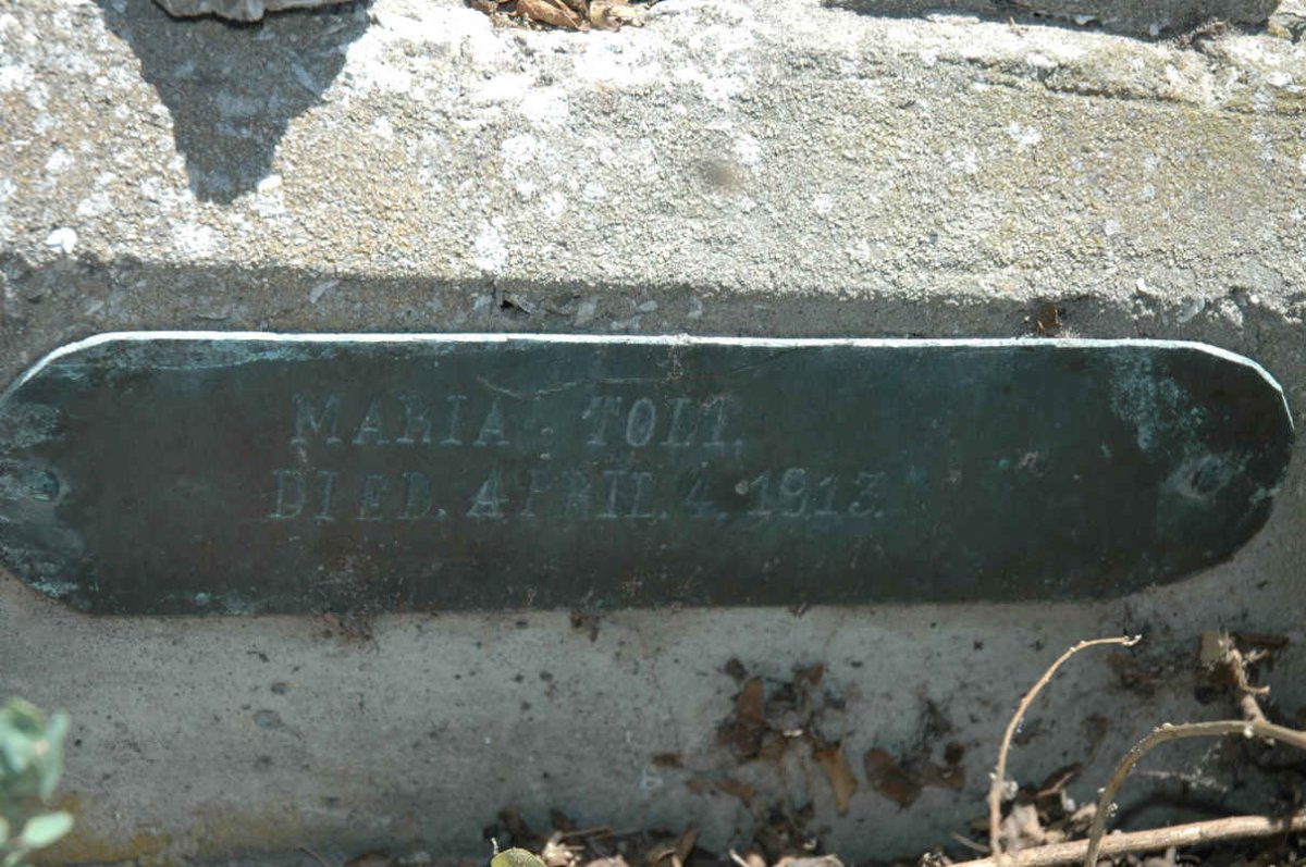 TOLL Marta -1913