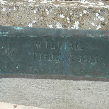 ? William -1911