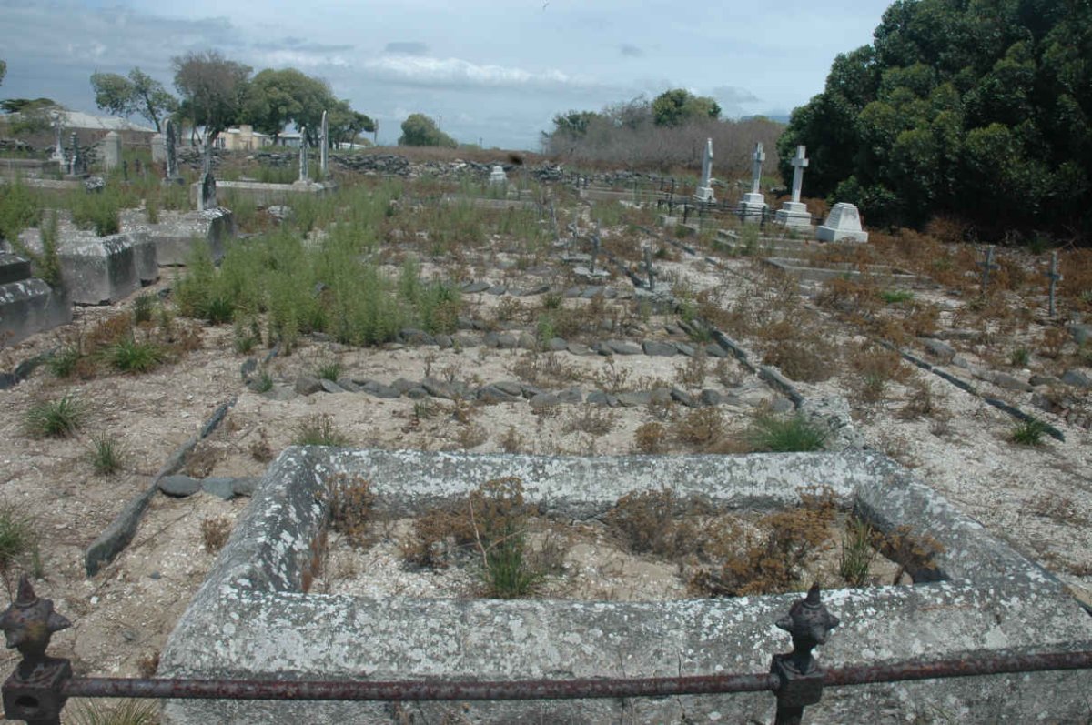 3. Overview