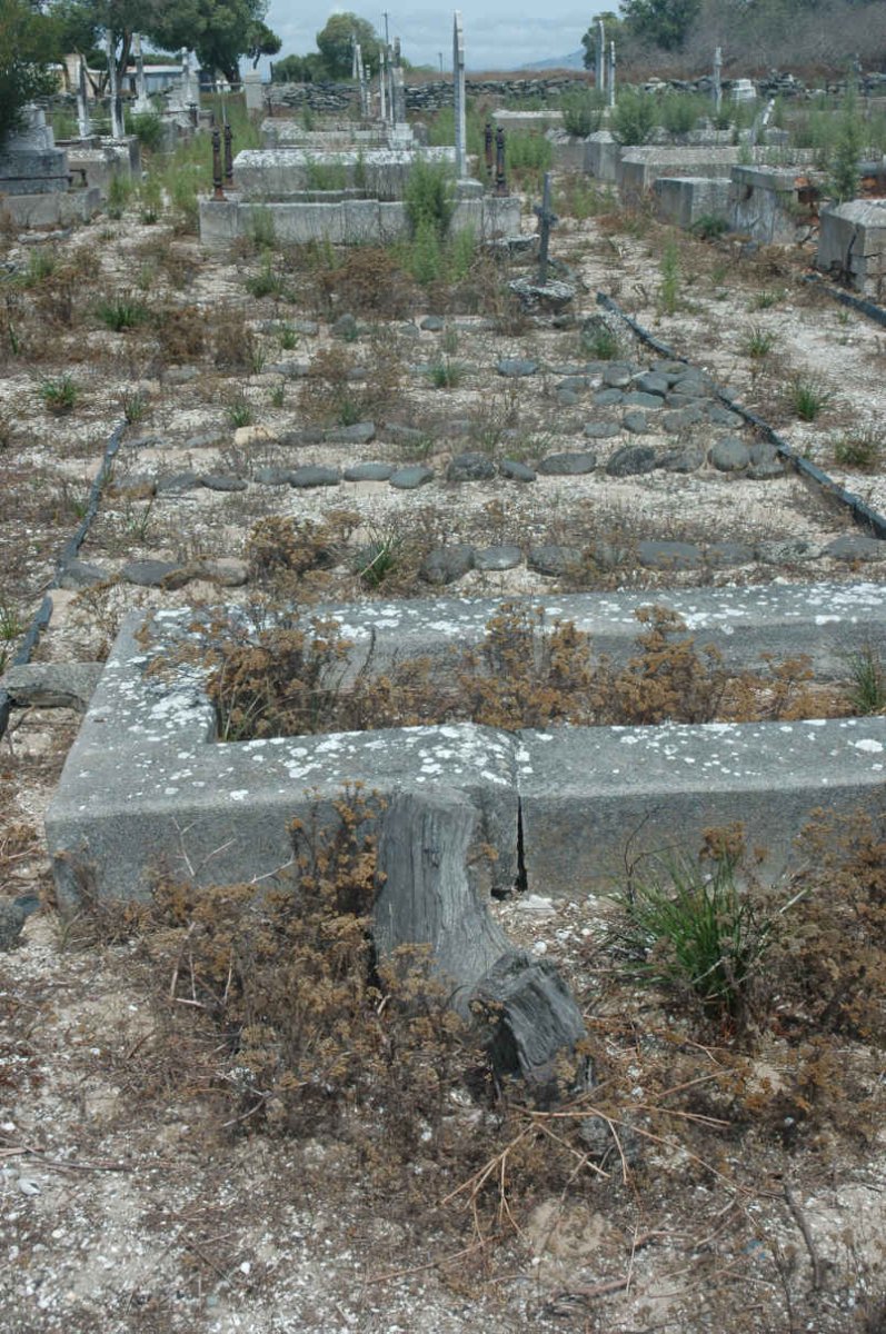 4. Overview