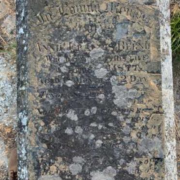 BERNDT Annie Francis -1877