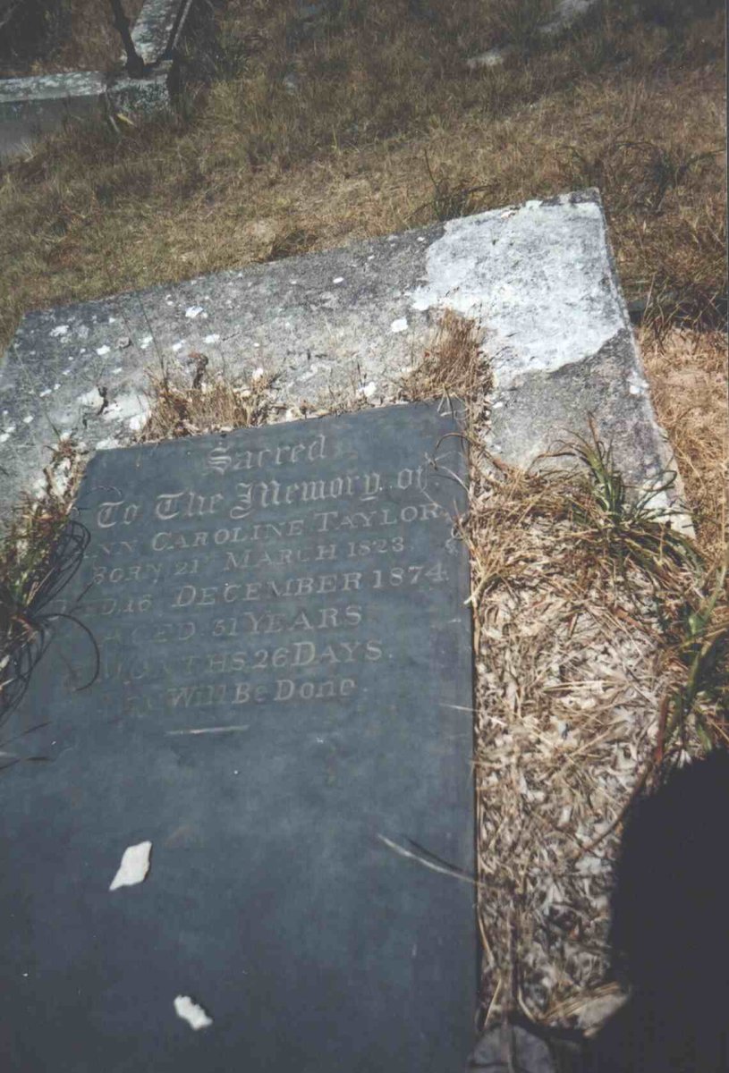 TAYLOR Ann Caroline 1823-1874