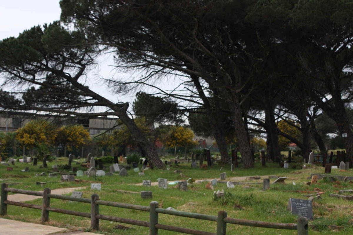 1. Overview