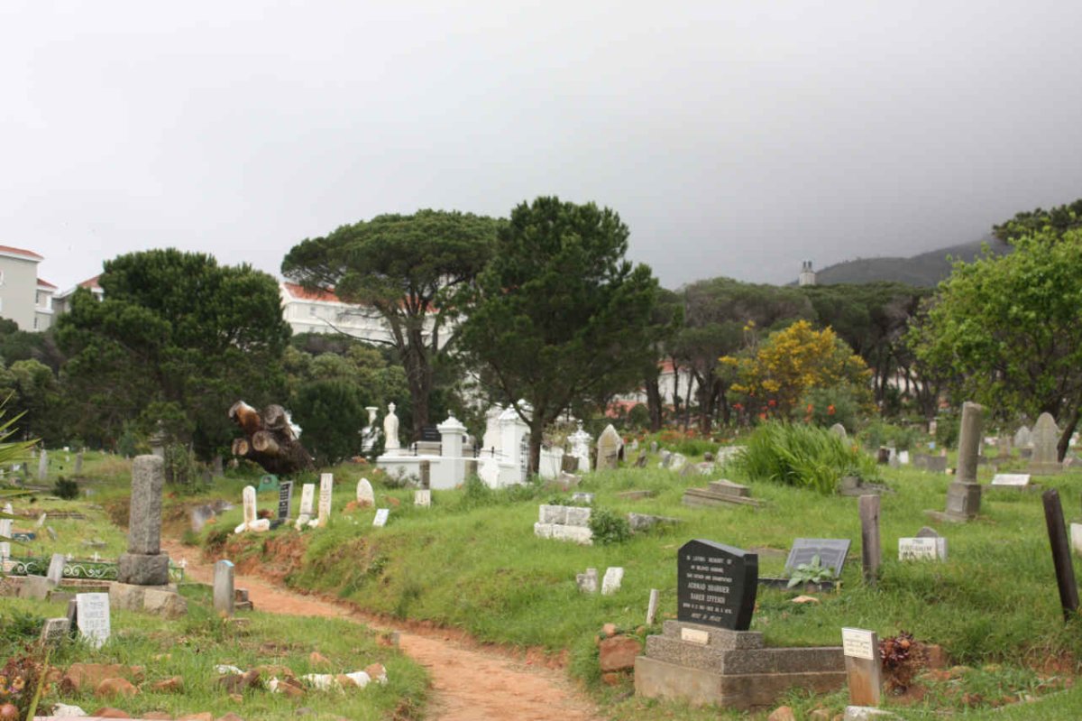 3. Overview