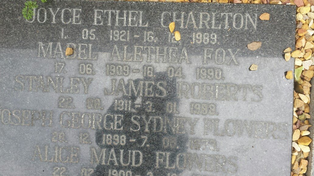 CHARLTON :: FOX :: ROBERTS