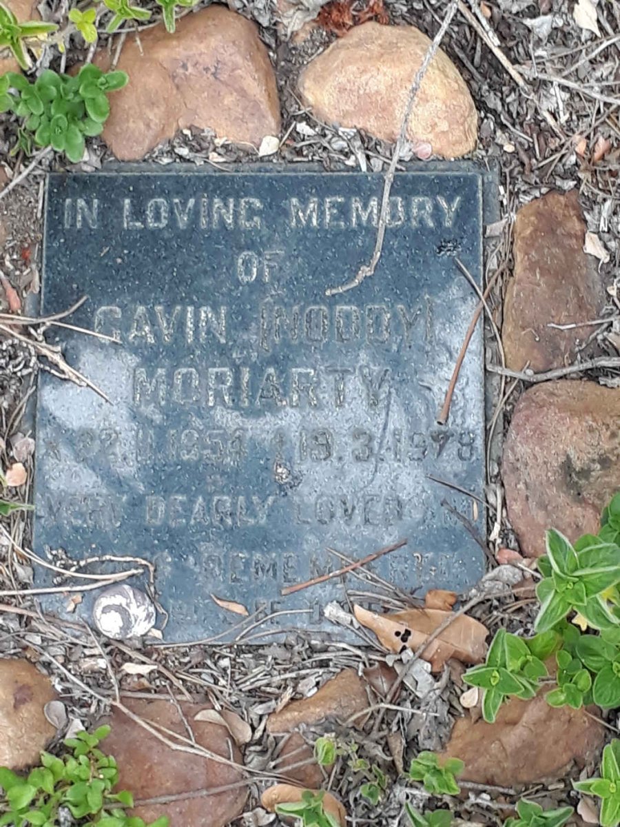 MORIARTY Gavin 1954-19?8
