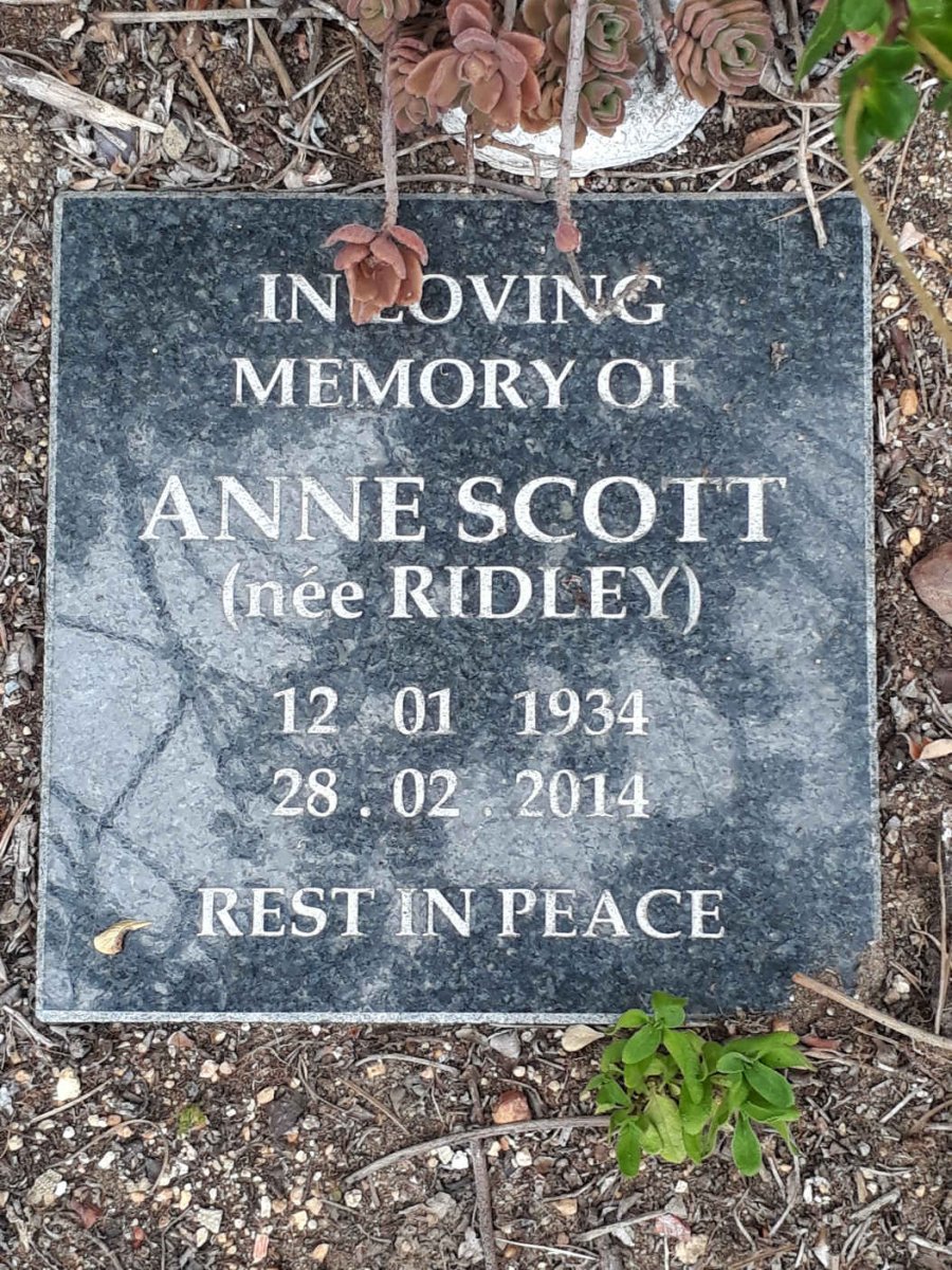 SCOTT Anne nee RIDLEY 1934-2014