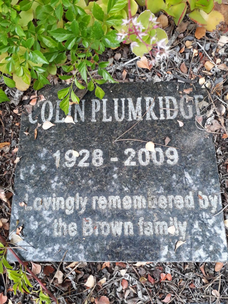 PLUMRIDGE Colin 1928-2009