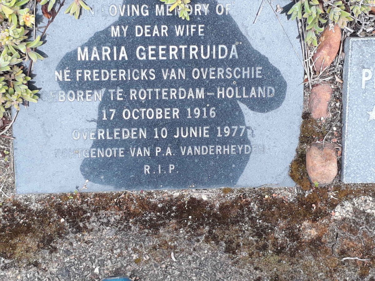 VANDERHEYDEN Maria Gertruida nee FREDERICKS VAN OVERSCHIE 1916-1977