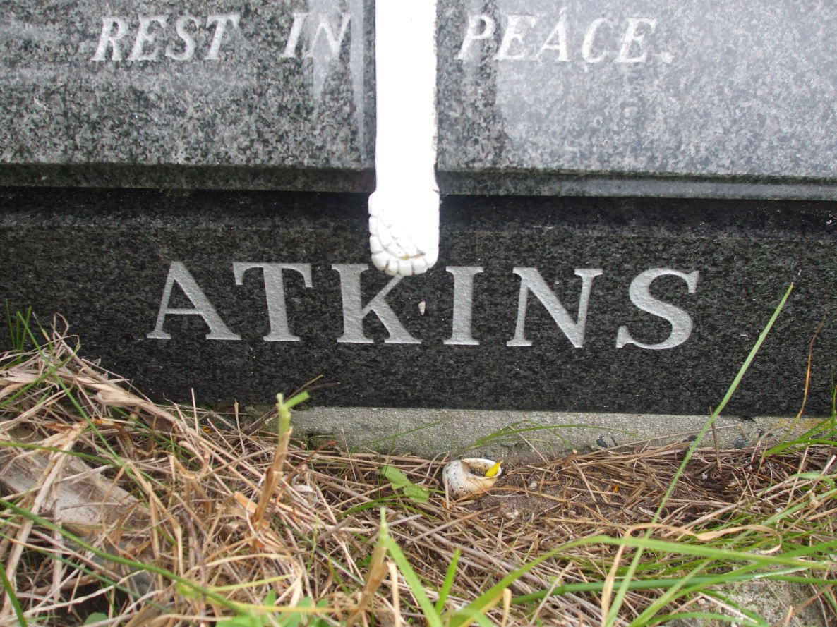 ATKINS David 1889-1964 &amp; Catherina Wilhelmina 1896-1979
