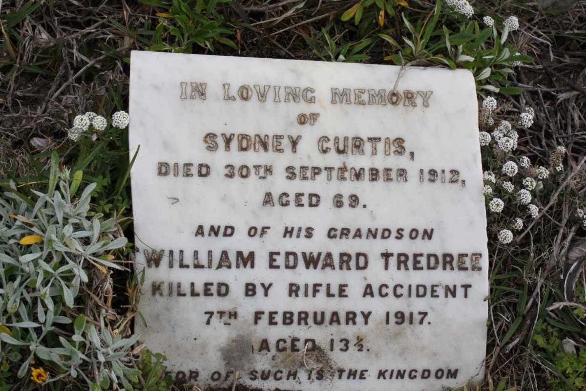 CURTIS Sydney -1912 :: TREDREE William Edward -1917