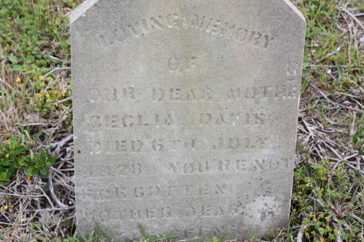 DAVIS Cecilia -1928