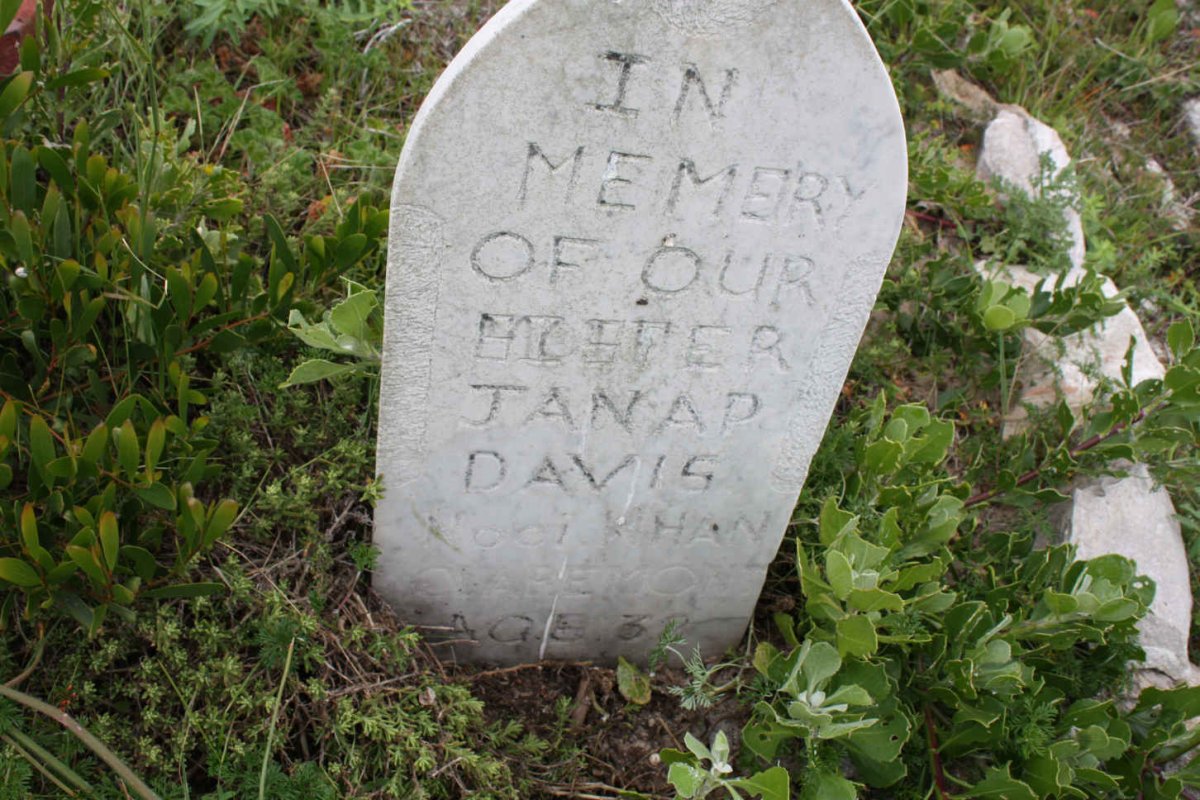 DAVIS Janap