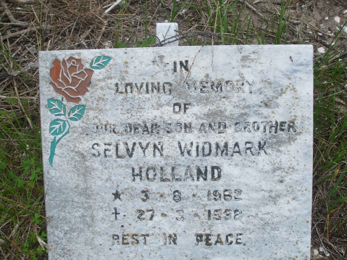 HOLLAND Selvyn Widmark 1962-1992