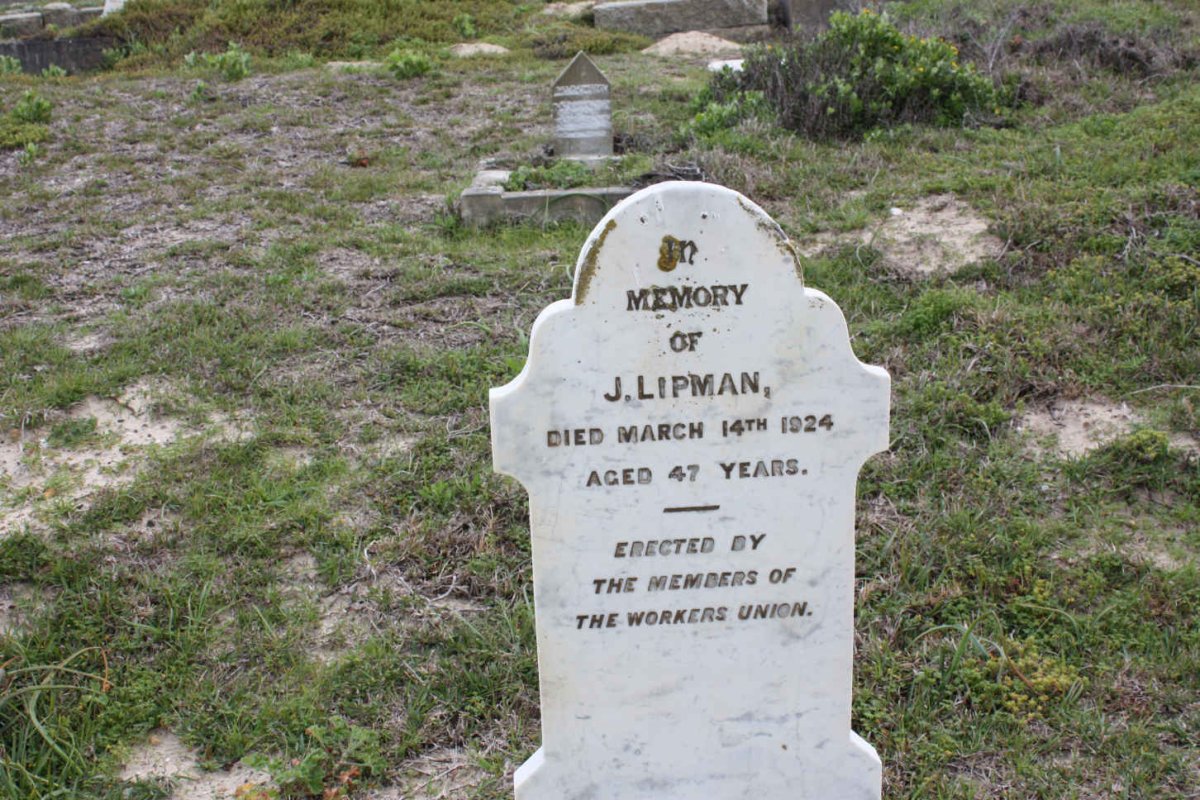 LIPMAN J. -1924
