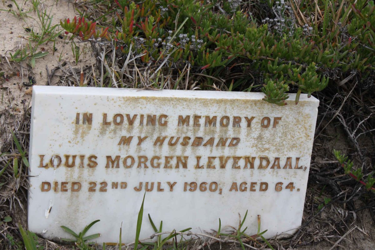 LEVENDAAL Louis Morgen -1960