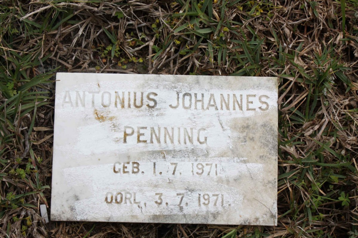PENNING Antonius Johannes 1971-1971