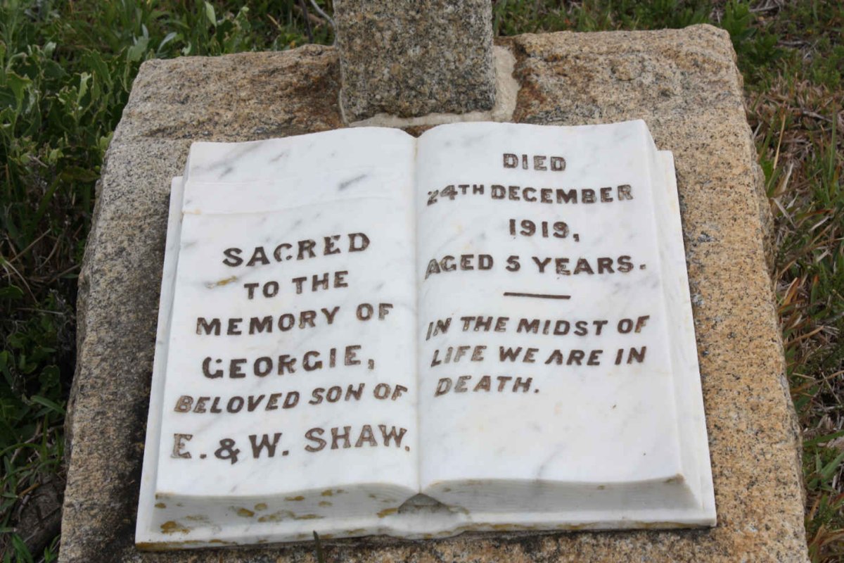 SHAW George  -1919